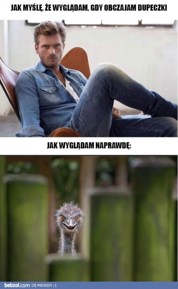 
    Gdy rozglądasz się za dziewojami