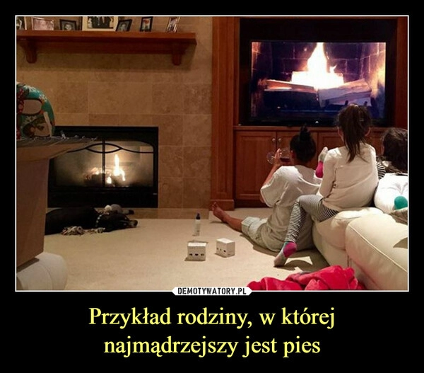 
    Przykład rodziny, w której
najmądrzejszy jest pies