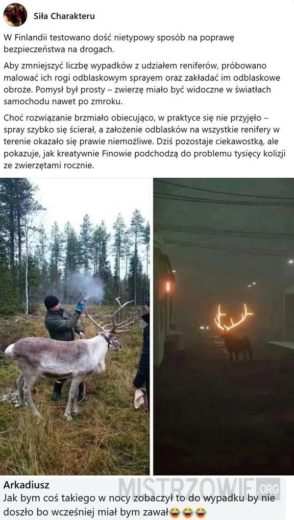 
    Renifery