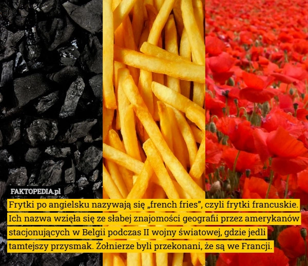 Frytki po angielsku nazywają się „french fries”, czyli frytki francuskie.