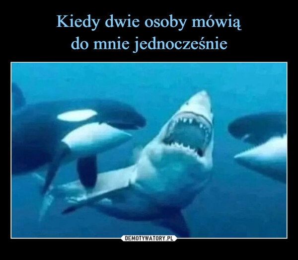 
    Kiedy dwie osoby mówią
do mnie jednocześnie