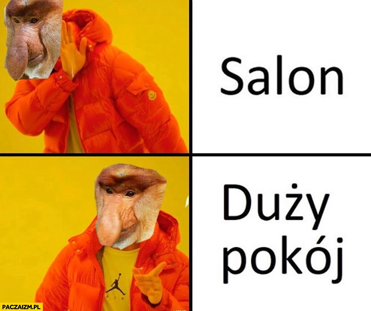 
    Salon nie, woli mówić duży pokój typowy Polak nosacz małpa
