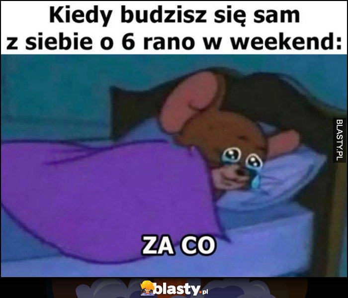 
    Kiedy budzisz się sam z siebie o 6 rano w weekend: za co?