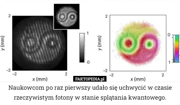 
    Naukowcom po raz pierwszy udało się uchwycić w czasie rzeczywistym fotony