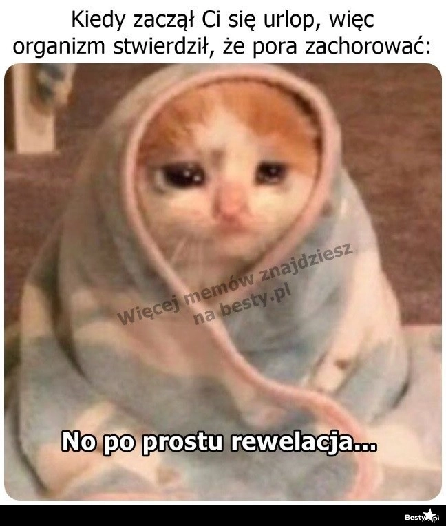 
    Jak pech to pech 