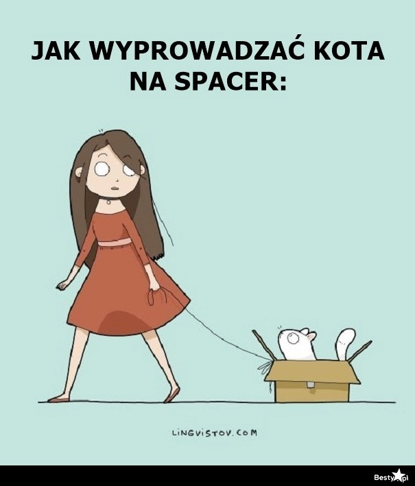 
    Jak wyprowadzać kota na spacer 