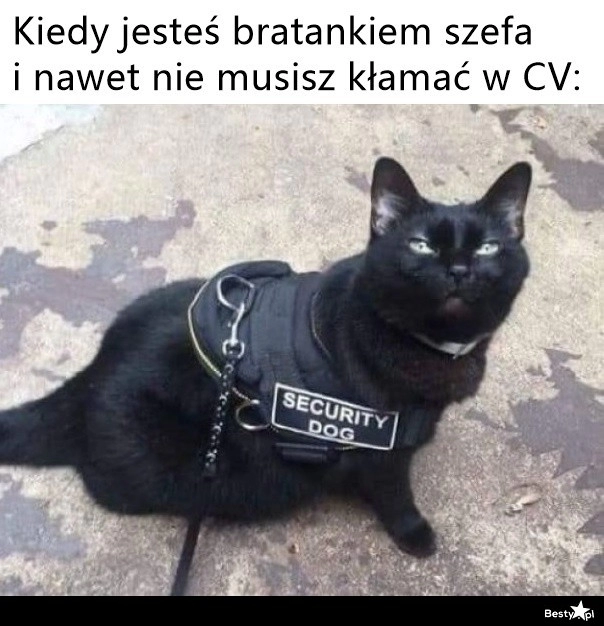 
    Praca po znajomości 