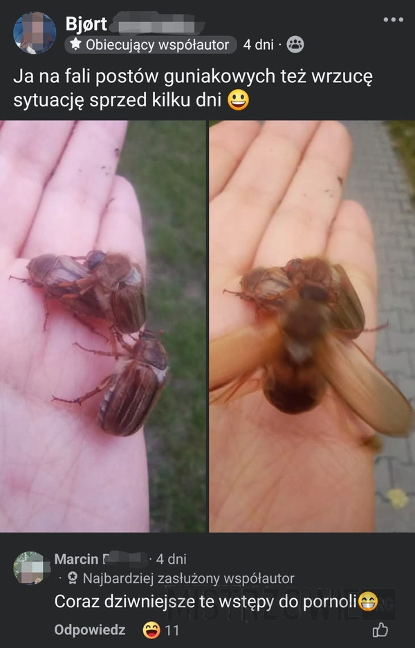 
    Coraz dziwniejsze...