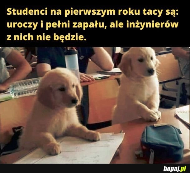 
    Bo oni studiują filozofię! 