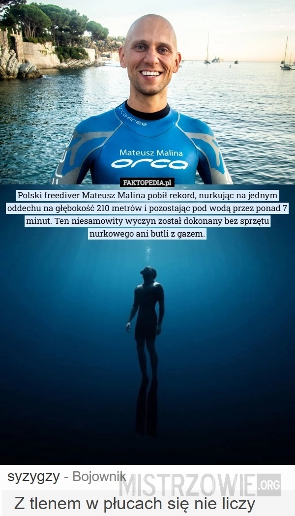 
    Freediver