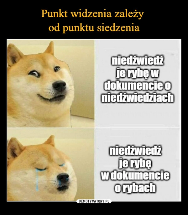 
    Punkt widzenia zależy 
od punktu siedzenia