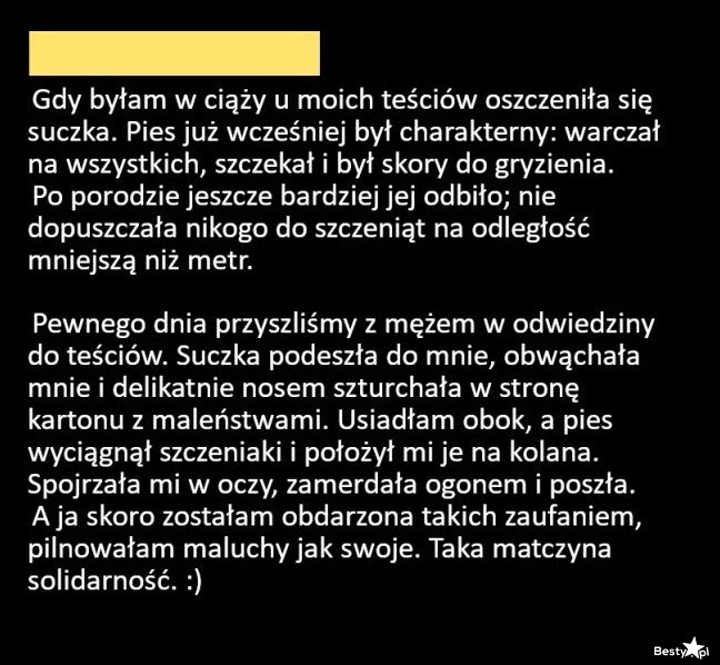 
    Matczyna solidarność 