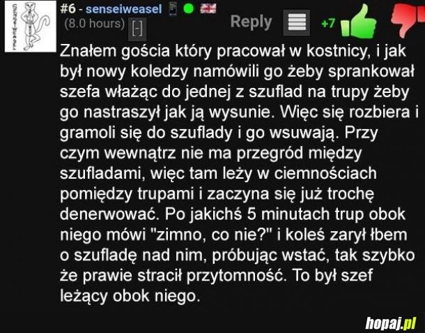 
    Żarciki w kostnicy