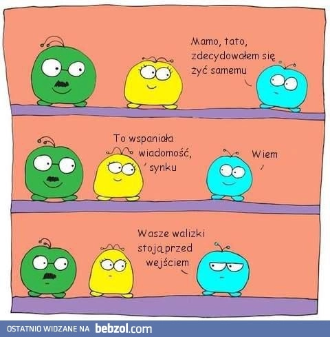 Samodzielność