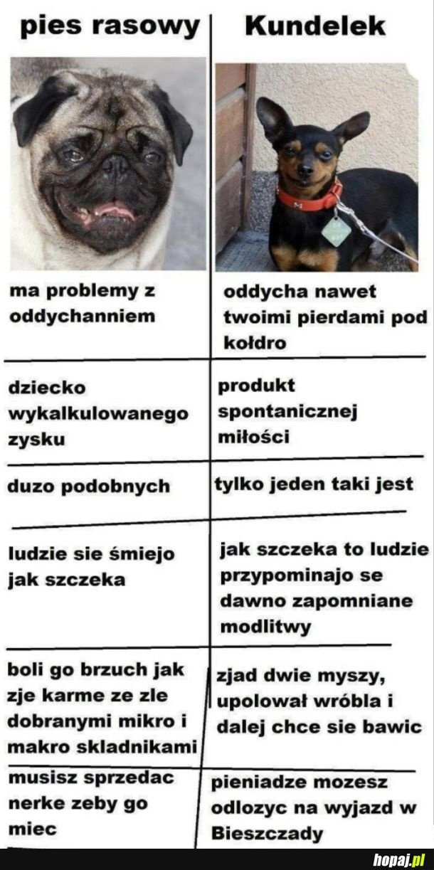 
    Wybór jest prosty