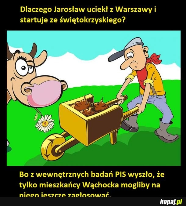 
    Sołtys z Wąchocka