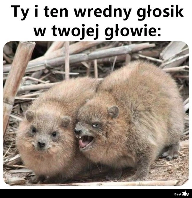 
    No weź to powiedz 