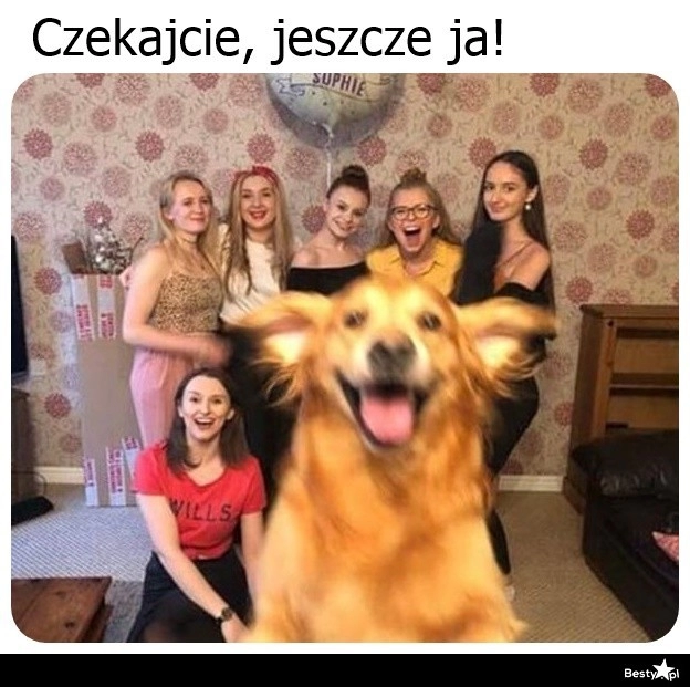 
    Jeszcze ja! 