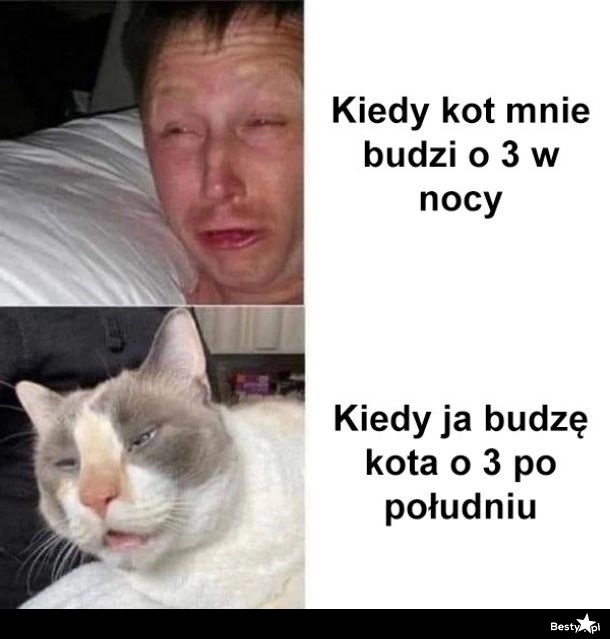 
    Pobudka 