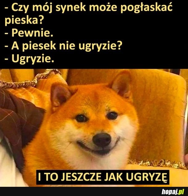 
    I to jeszcze jak ugryzie