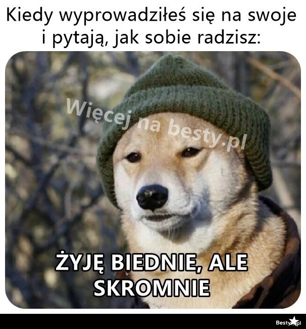 
    Biednie, ale skromnie 