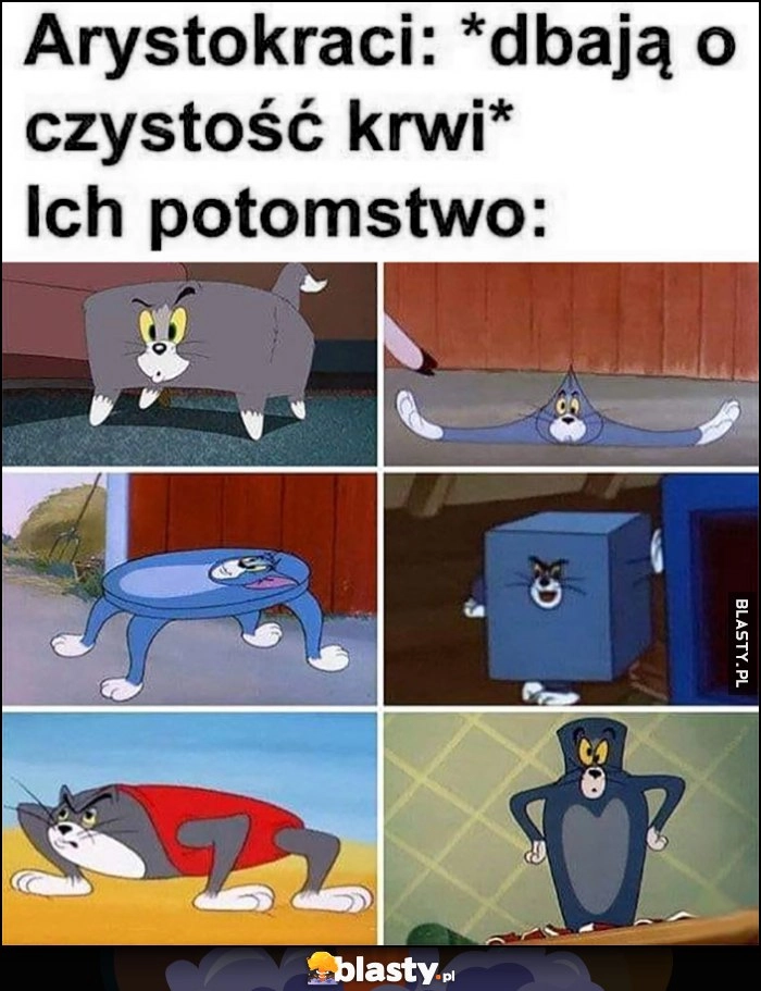 
    Arystokraci: dbają o czystość krwi vs ich potomstwo Tom i Jerry