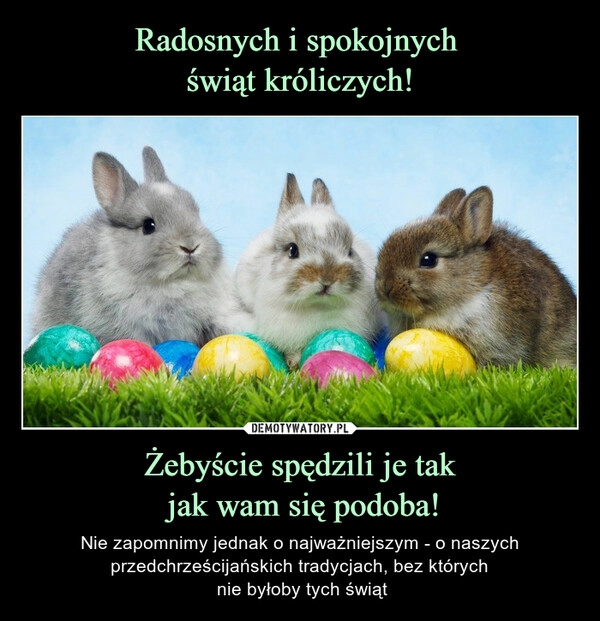 
    Radosnych i spokojnych 
świąt króliczych! Żebyście spędzili je tak
 jak wam się podoba!