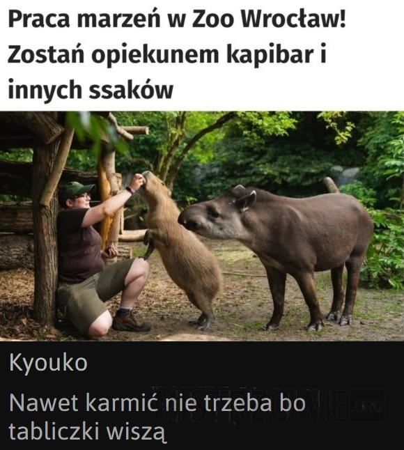 
    Praca