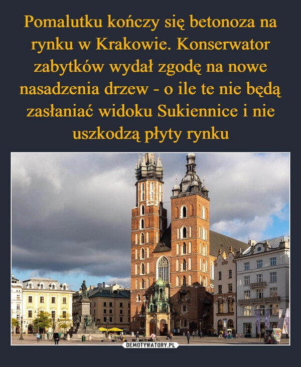 
    Pomalutku kończy się betonoza na rynku w Krakowie. Konserwator zabytków wydał zgodę na nowe nasadzenia drzew - o ile te nie będą zasłaniać widoku Sukiennice i nie uszkodzą płyty rynku