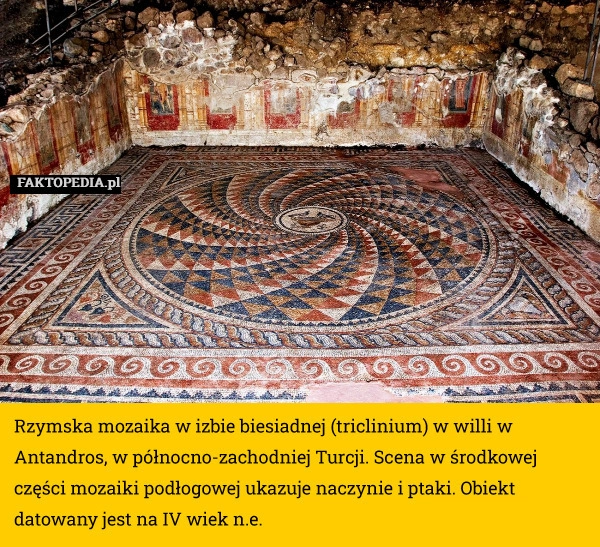 
    Rzymska mozaika w izbie biesiadnej (triclinium) w willi w Antandros,