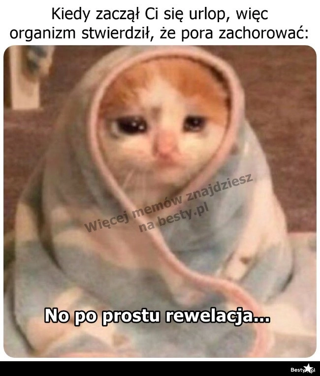 
    Zawsze wyczuje moment... 