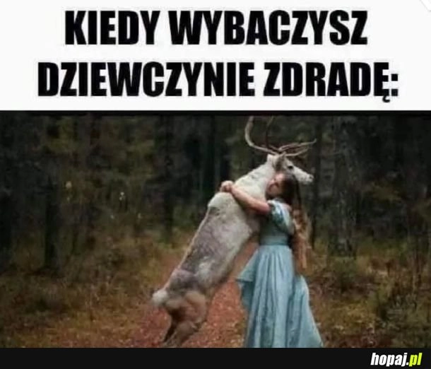 
    Biały jeleń, jak ten szampon.