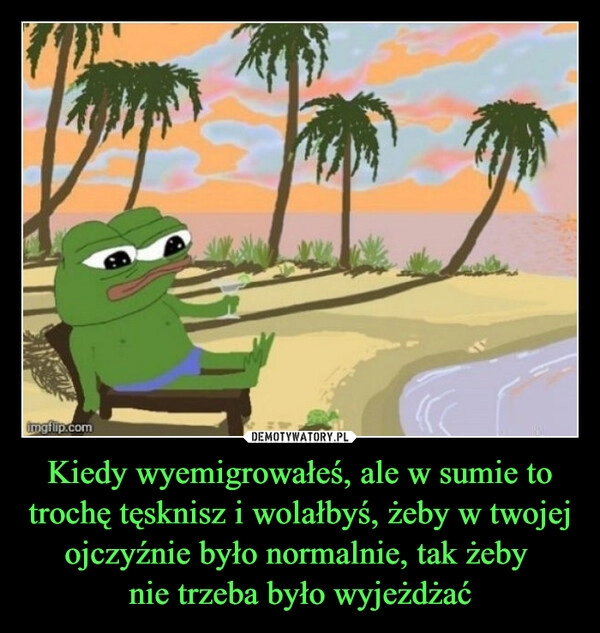 
    Kiedy wyemigrowałeś, ale w sumie to trochę tęsknisz i wolałbyś, żeby w twojej ojczyźnie było normalnie, tak żeby 
nie trzeba było wyjeżdżać