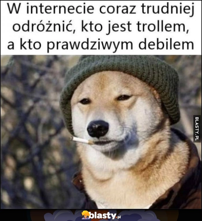 
    W internecie coraz trudniej odróżnić, kto jest trollem, a kto prawdziwym debilem