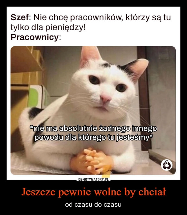 
    Jeszcze pewnie wolne by chciał