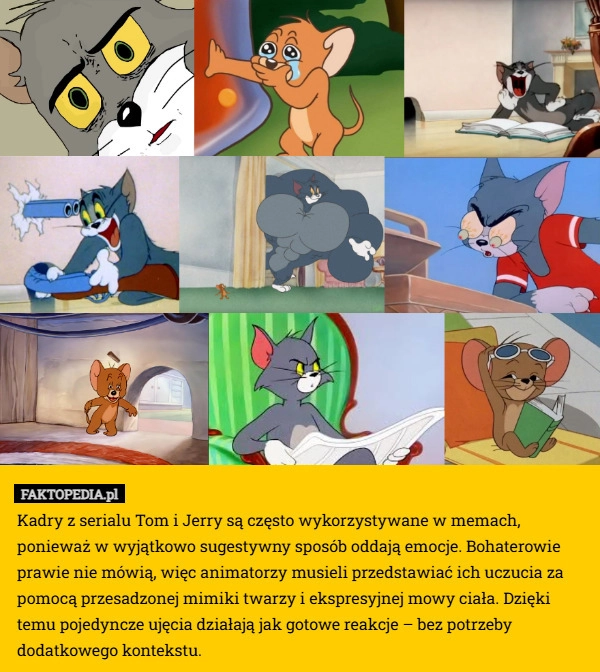 
    Kadry z serialu Tom i Jerry są często wykorzystywane w memach, ponieważ