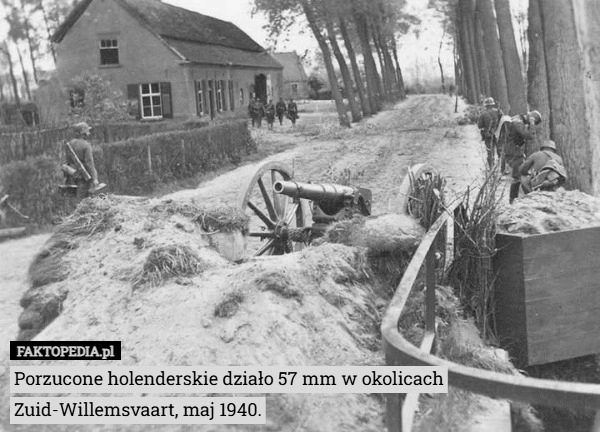 
    Porzucone holenderskie działo 57 mm w okolicach Zuid-Willemsvaart, maj 1940.