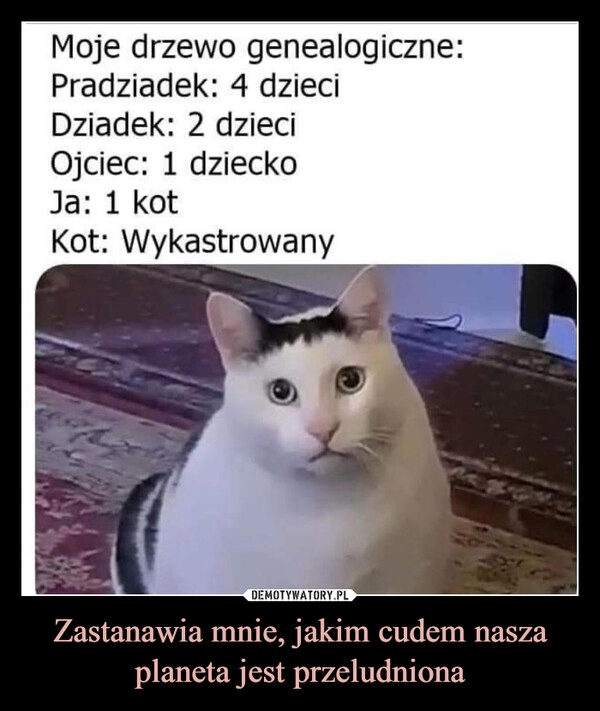 
    Zastanawia mnie, jakim cudem nasza planeta jest przeludniona