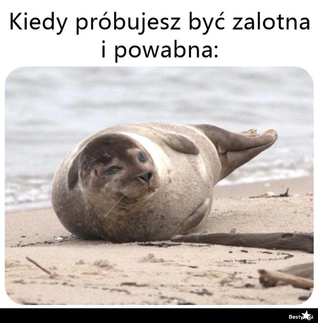 
    Prawie się udało 