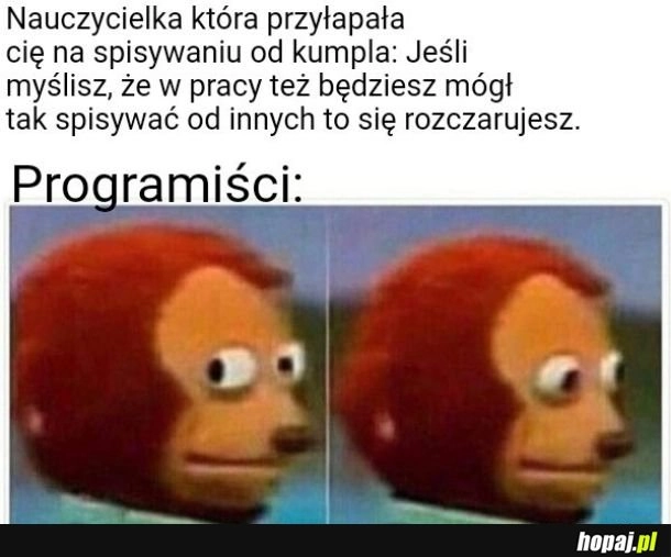 
    Programiści