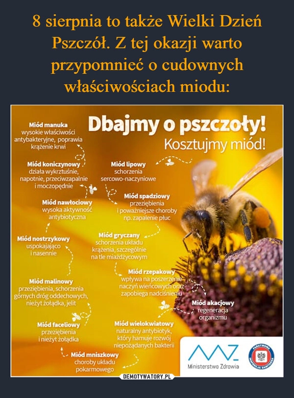 
    8 sierpnia to także Wielki Dzień Pszczół. Z tej okazji warto przypomnieć o cudownych właściwościach miodu: