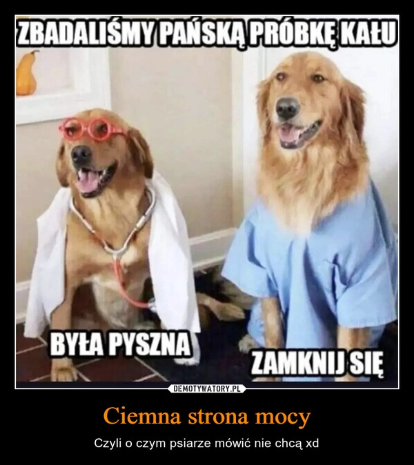 
    Ciemna strona mocy