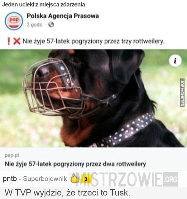 
    
			Jeden uciekł z miejsca zdarzenia					