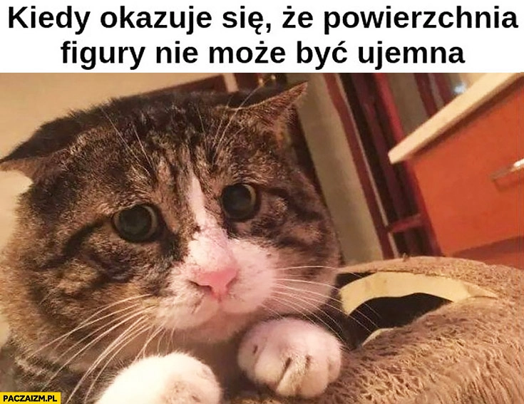 
    Kiedy okazuje się, że powierzchnia figury nie może być ujemna smutny kot