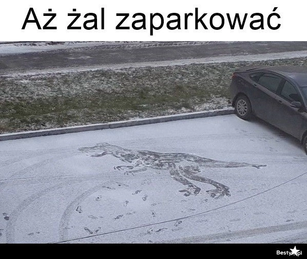 
    Aż żal zaparkować 