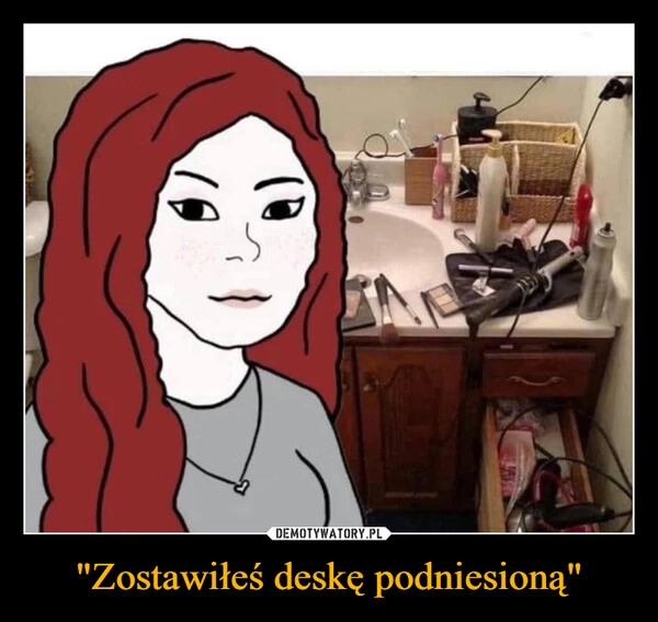 
    "Zostawiłeś deskę podniesioną"