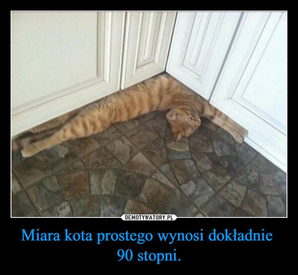 
    Miara kota prostego wynosi dokładnie 
90 stopni.