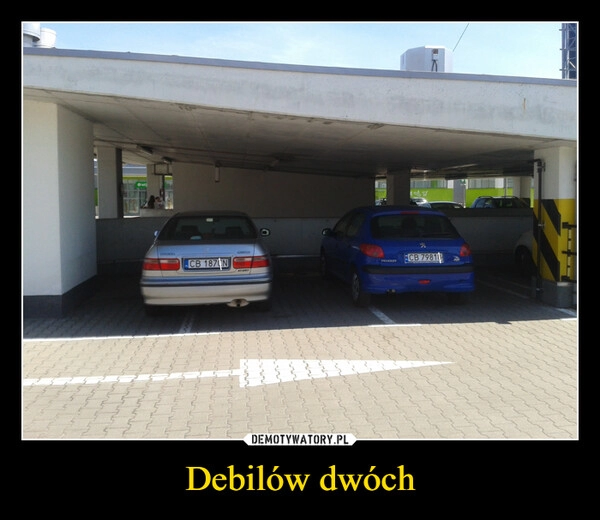 
    Debilów dwóch