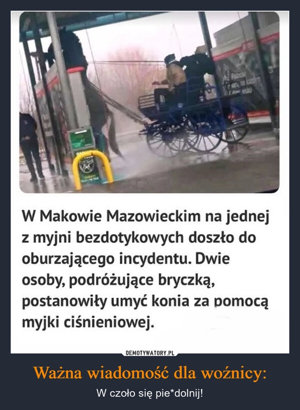 
    Ważna wiadomość dla woźnicy: