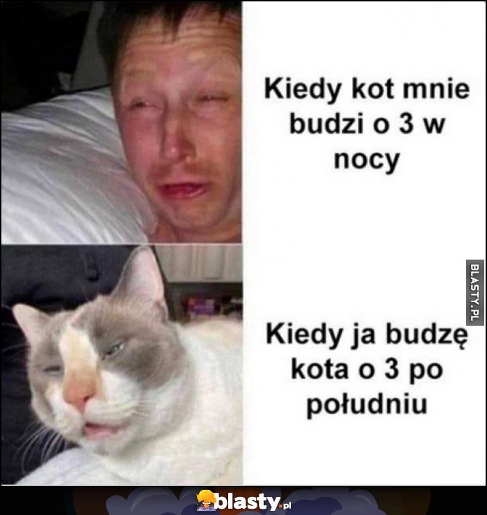 
    Kiedy kot mnie budzi o 3 w nocy vs kiedy ja budzę kota o 3 po południu